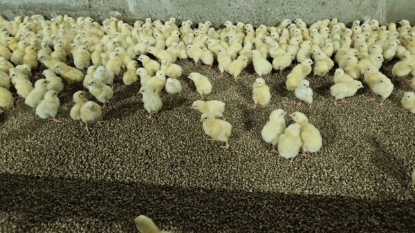 20230801_131154 20230801_131154