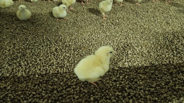 20230801_131216 20230801_131216