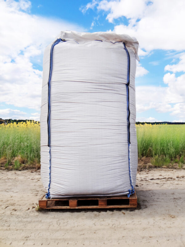 DSC09110 -1 DSC09110 -1